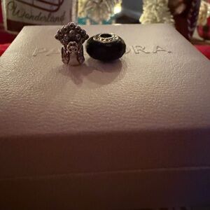 Pandora charms